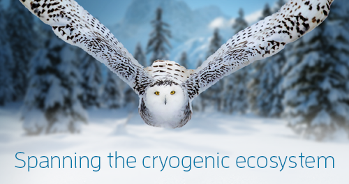 Spanning the cryogenic ecosystem