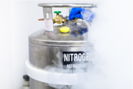 liquid nitrogen Dewar